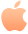 Apple iOS